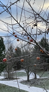 Poslední třetina Round Robin v plném proudu.